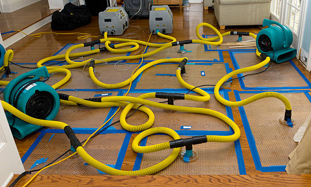Professional Water Damage Restoration technician working in Northampton, PA